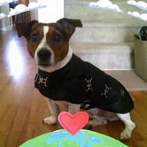 Meet your Posher, Max